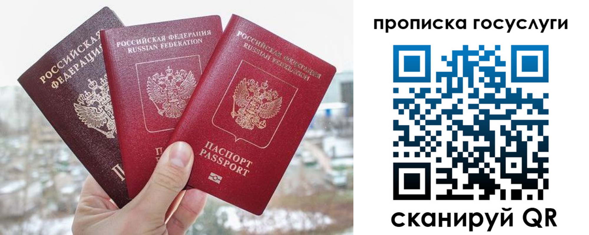 прописка законно в Кирсе